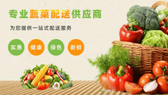 它更方位的后勤保障处理方案